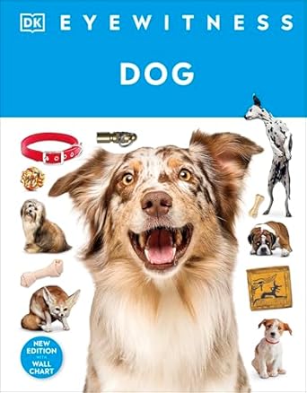 Eyewitness Dog
