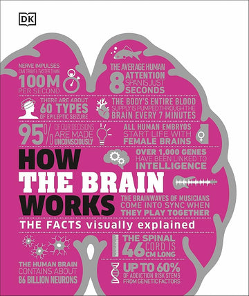 How the Brain Works: The Facts Visually Explained (How Things Work)