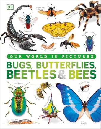 Bugs, Butterflies, Beetles and Bees: A Visual Bug and Insect Encyclopedia for Kids (DK Our World in Pictures)