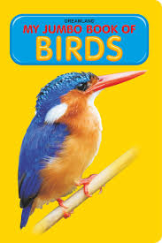 My Jumbo Book - BIRDS