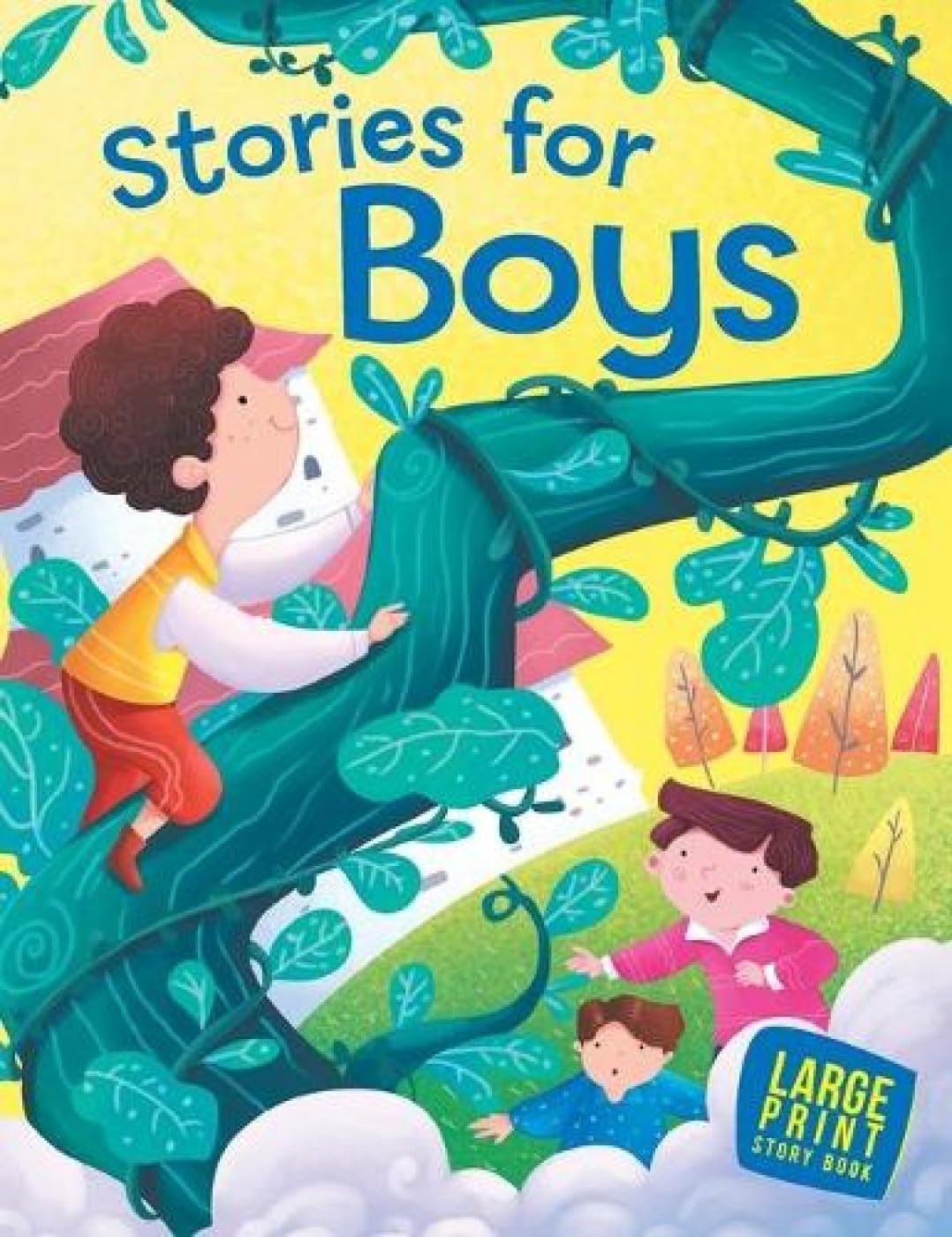 Stories For Boys : Large Print