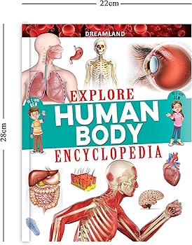 Explore Human Body Encyclopedia