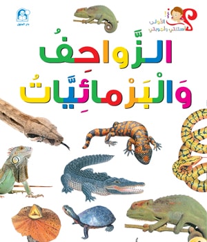 My First Questions and Answers: Reptiles and Amphibians