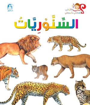 My First Questions and Answers: Felines