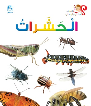 My First Questions and Answers: Insects