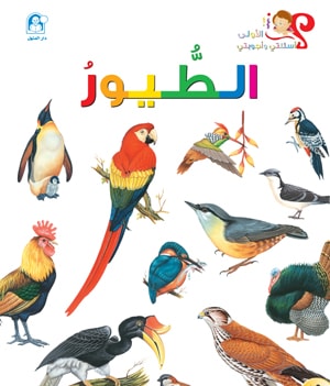 My First Questions and Answers: Birds