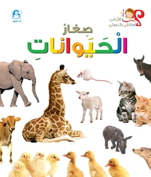 My First Questions and Answers: Baby Animals